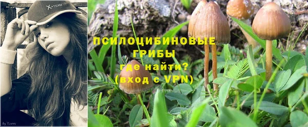гидра Белоозёрский