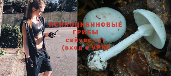 гидра Белоозёрский