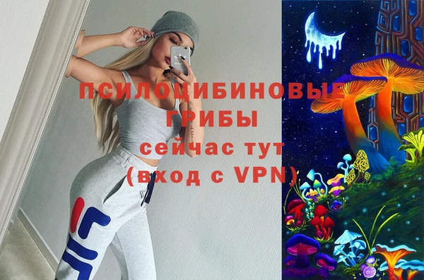 гидра Белоозёрский